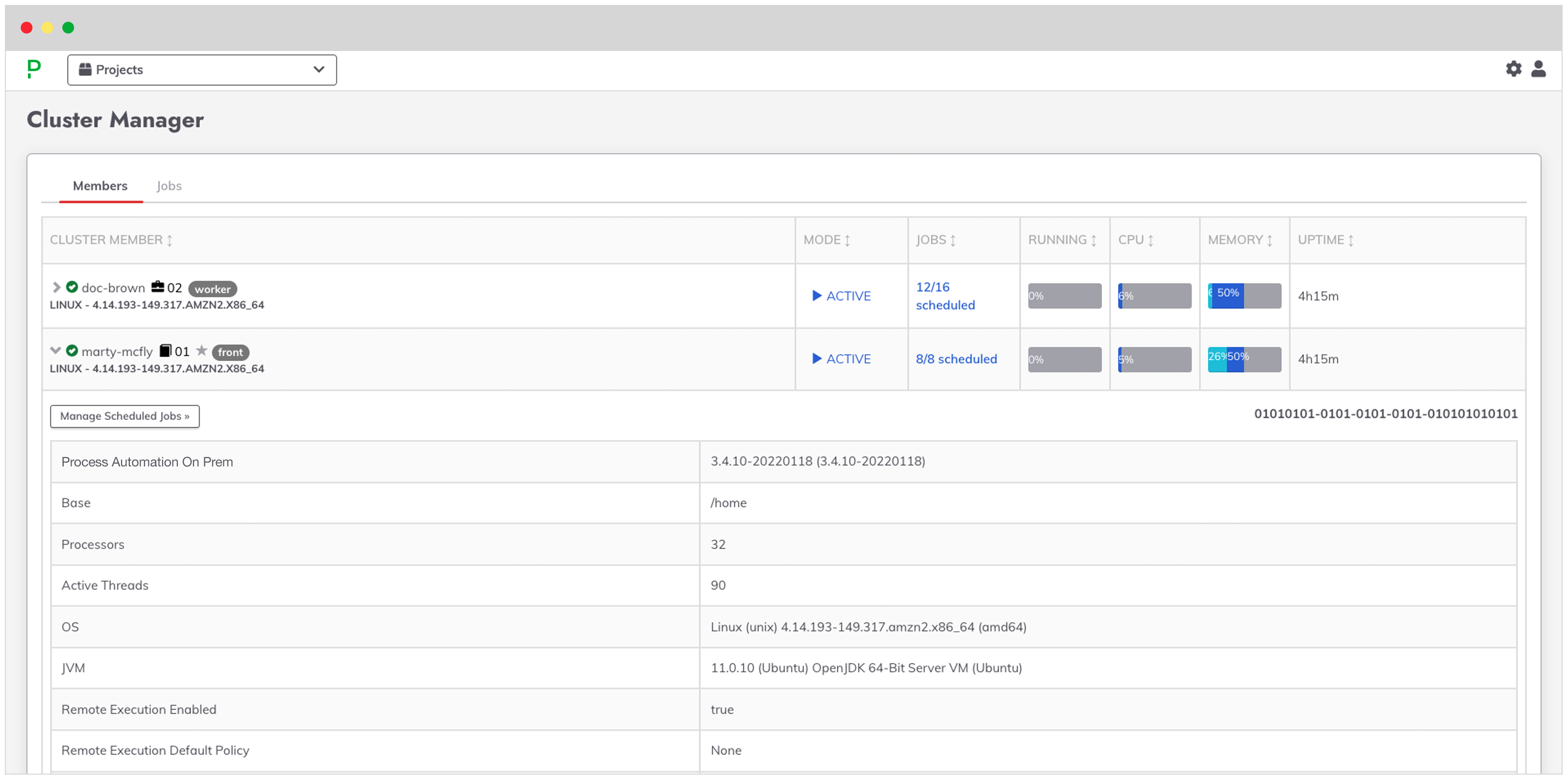 automation-process-automation-cluster-manager