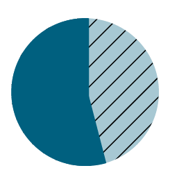 Board of Directors gender graph